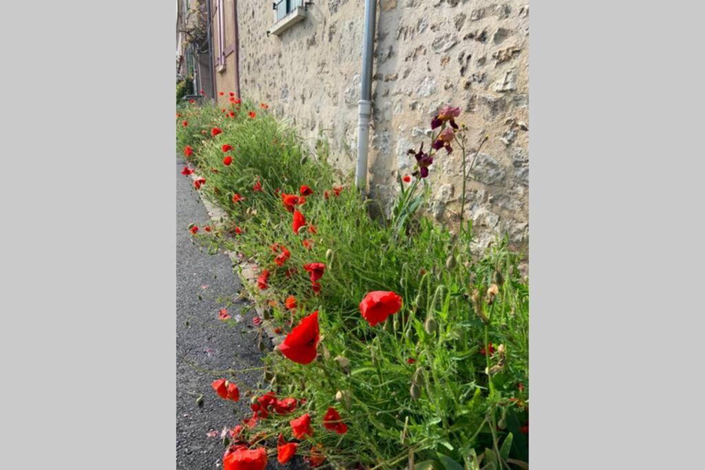 Le Clos De L'Eglise - Blanche Giverny Eksteriør billede